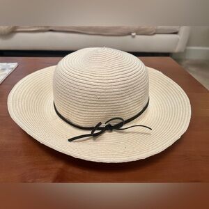 Aritzia Talula straw hat